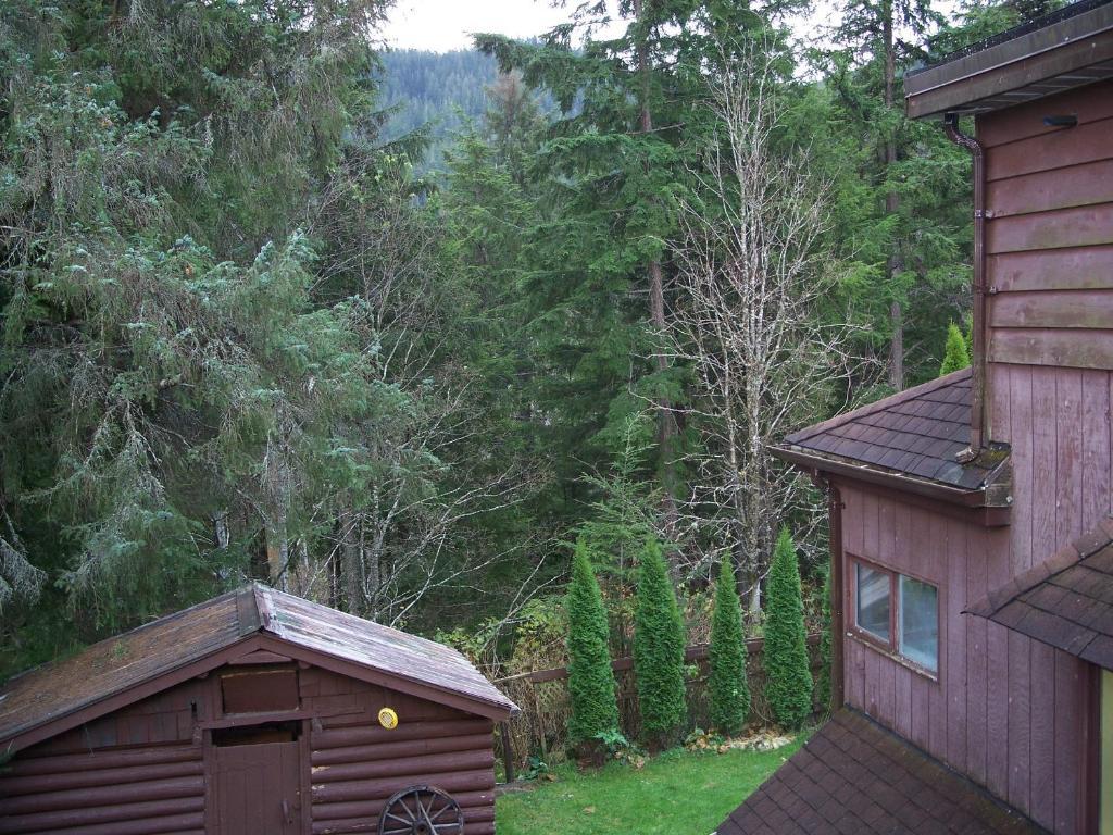 Tall Trees Bed & Breakfast Prince Rupert Bilik gambar